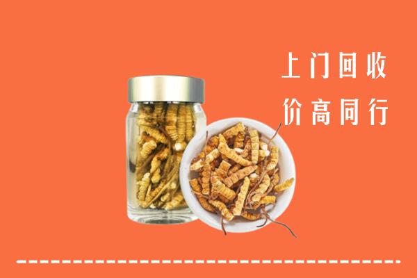 莱芜回收冬虫夏草