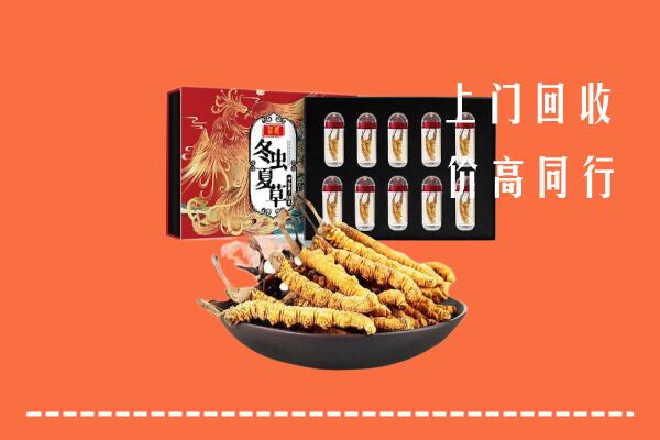 莱芜回收虫草